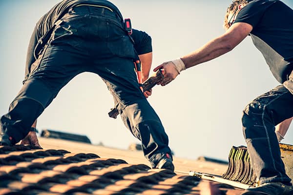 Professional Roofing Experts